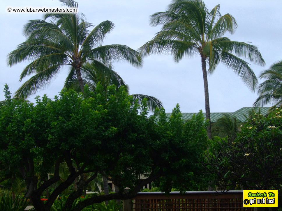 GoodGirl & Baddog's Hawaii Photos