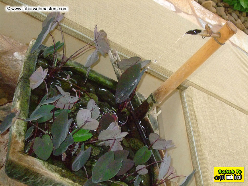 GoodGirl & Baddog's Hawaii Photos