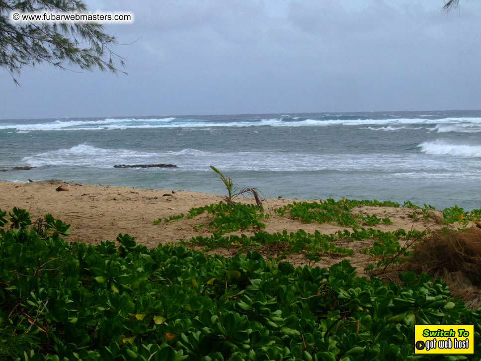 GoodGirl & Baddog's Hawaii Photos