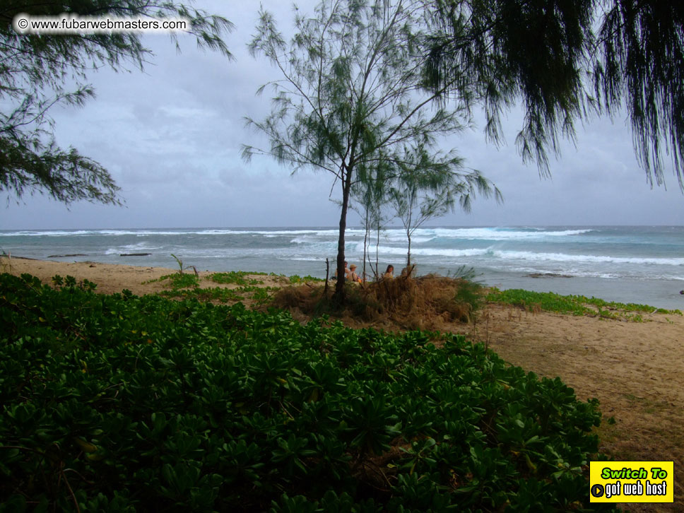 GoodGirl & Baddog's Hawaii Photos