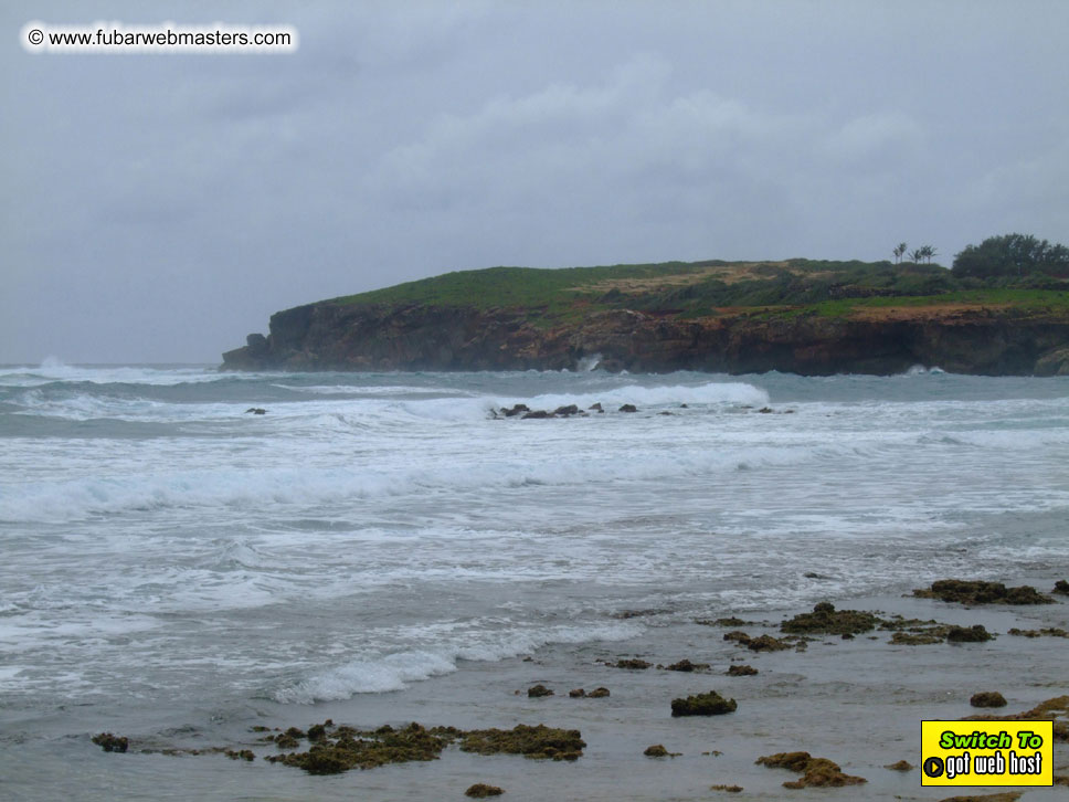 GoodGirl & Baddog's Hawaii Photos