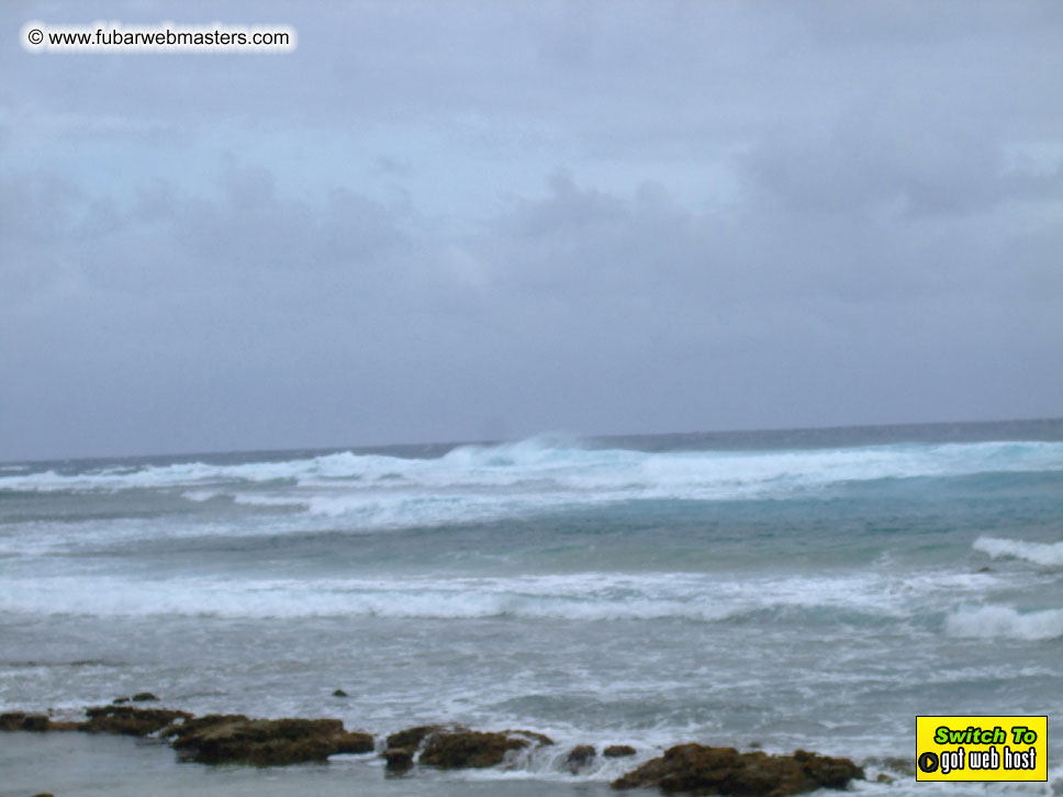 GoodGirl & Baddog's Hawaii Photos