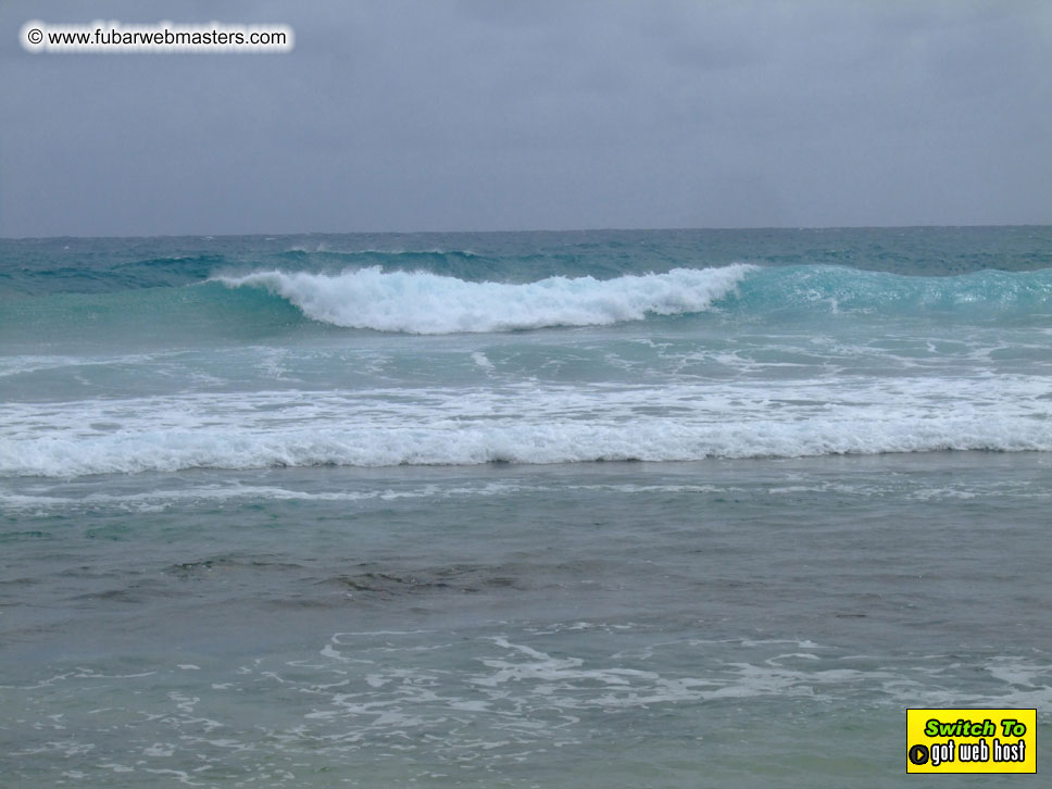 GoodGirl & Baddog's Hawaii Photos