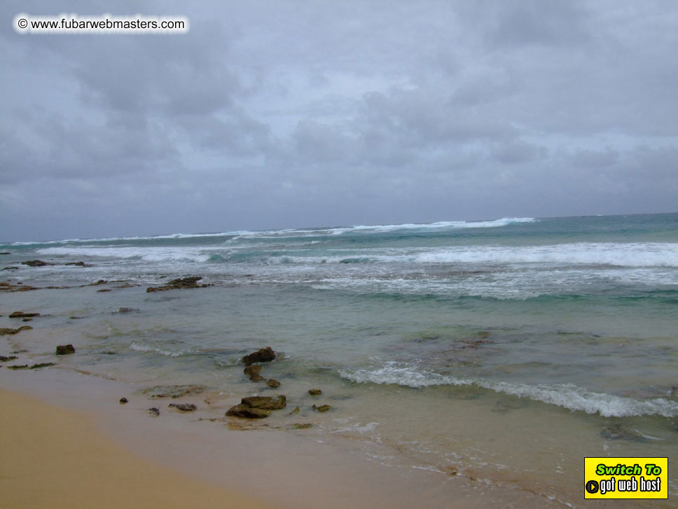 GoodGirl & Baddog's Hawaii Photos