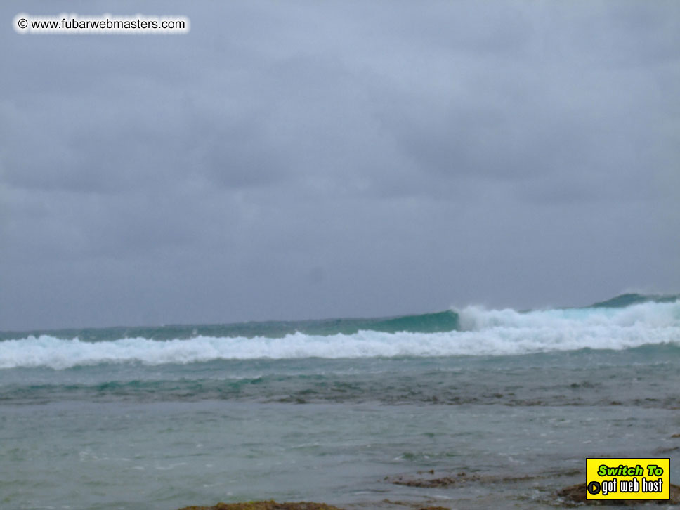 GoodGirl & Baddog's Hawaii Photos