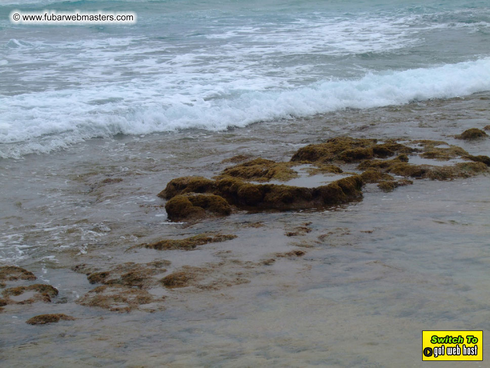 GoodGirl & Baddog's Hawaii Photos