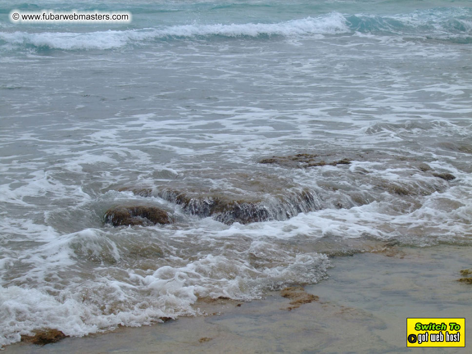 GoodGirl & Baddog's Hawaii Photos