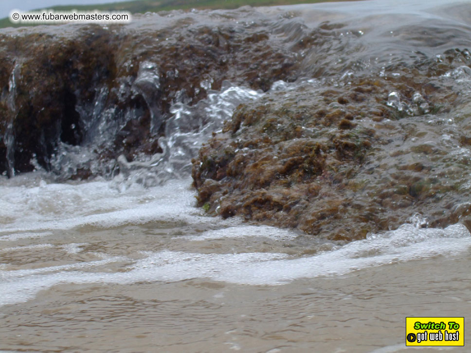 GoodGirl & Baddog's Hawaii Photos