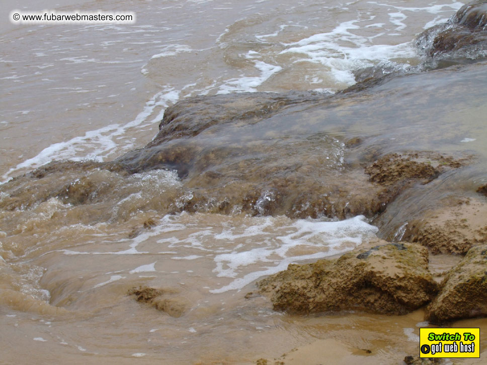 GoodGirl & Baddog's Hawaii Photos