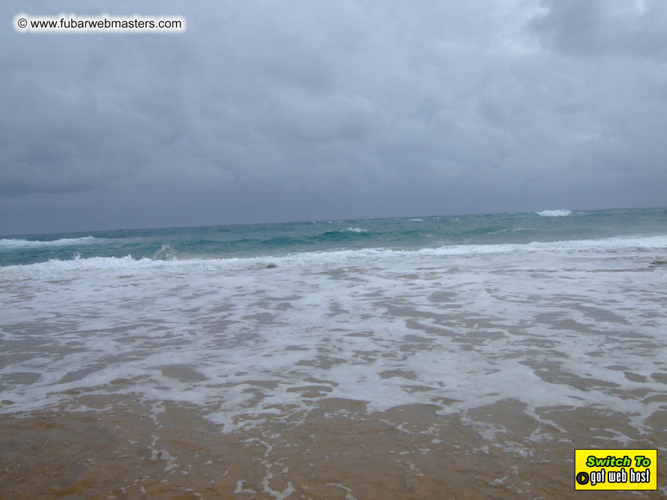 GoodGirl & Baddog's Hawaii Photos