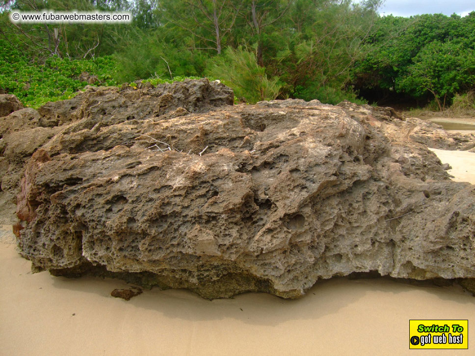 GoodGirl & Baddog's Hawaii Photos