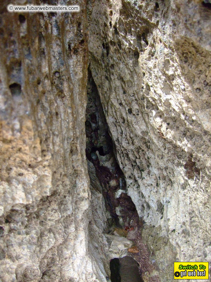 GoodGirl & Baddog's Hawaii Photos