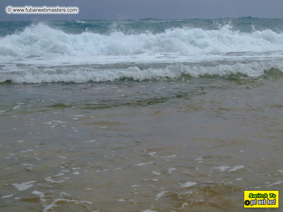 GoodGirl & Baddog's Hawaii Photos