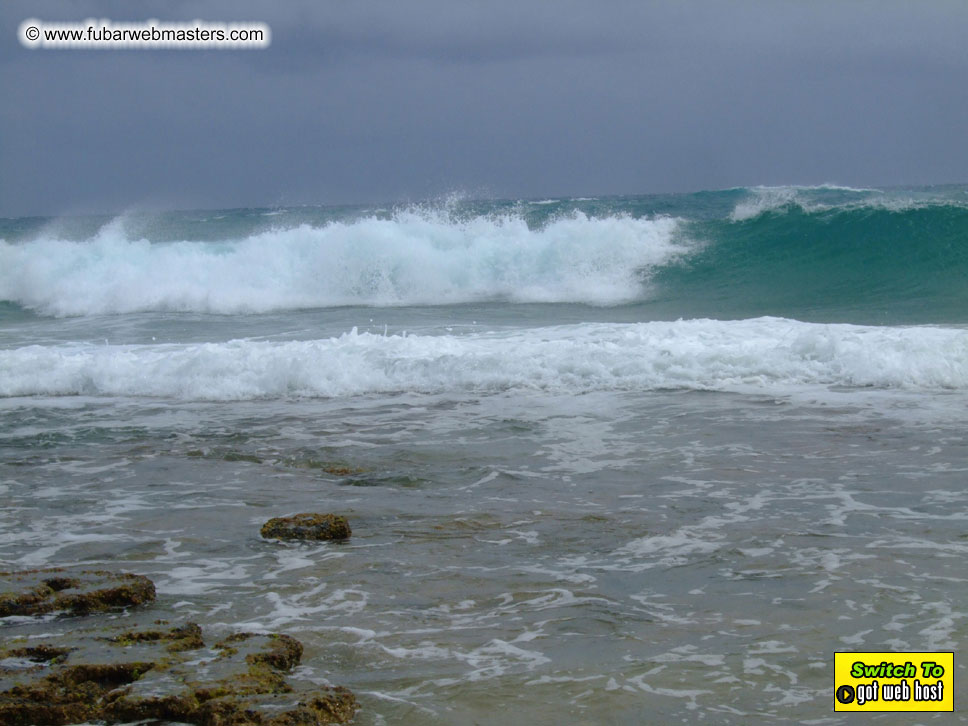 GoodGirl & Baddog's Hawaii Photos