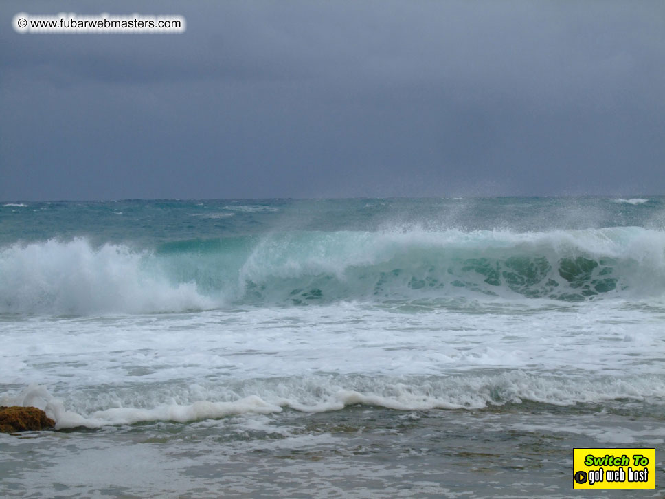 GoodGirl & Baddog's Hawaii Photos