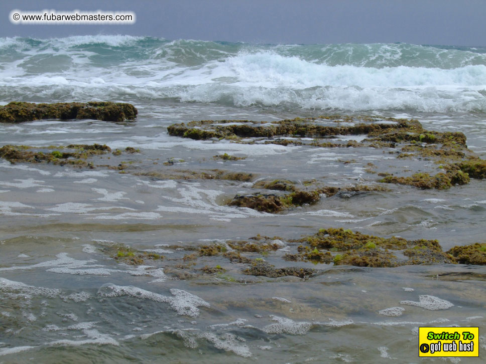 GoodGirl & Baddog's Hawaii Photos