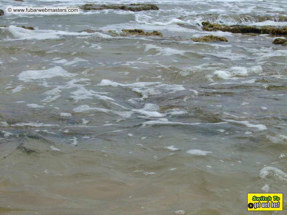 GoodGirl & Baddog's Hawaii Photos