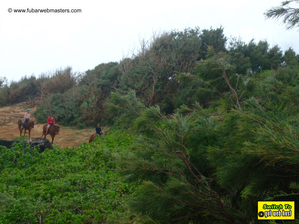 GoodGirl & Baddog's Hawaii Photos