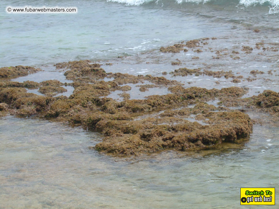 GoodGirl & Baddog's Hawaii Photos