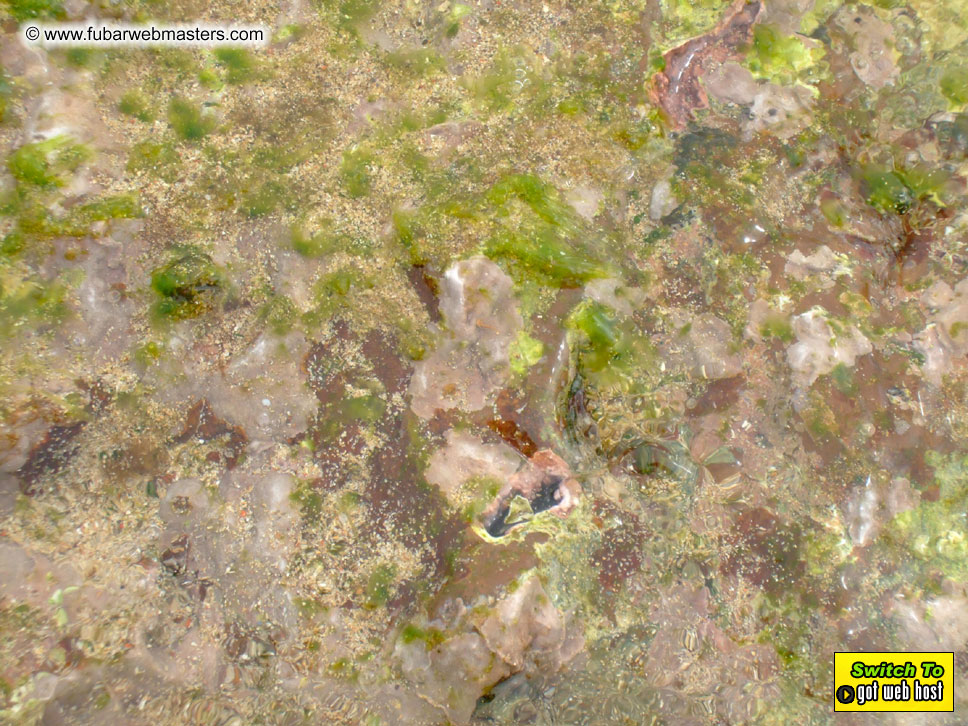 GoodGirl & Baddog's Hawaii Photos