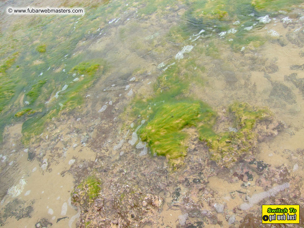 GoodGirl & Baddog's Hawaii Photos