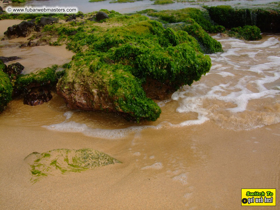 GoodGirl & Baddog's Hawaii Photos