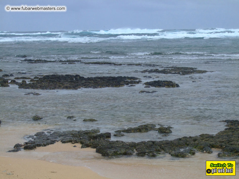 GoodGirl & Baddog's Hawaii Photos