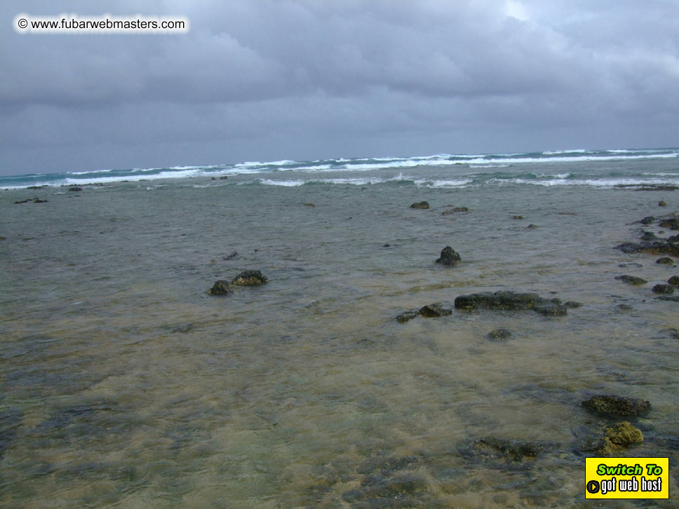 GoodGirl & Baddog's Hawaii Photos