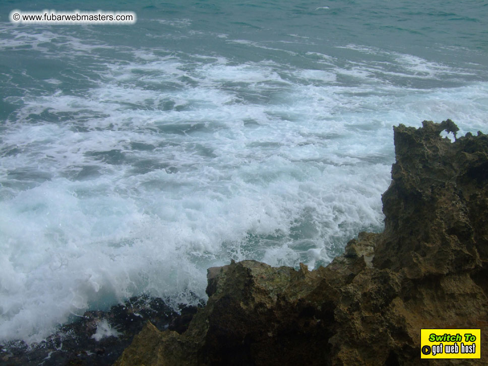 GoodGirl & Baddog's Hawaii Photos