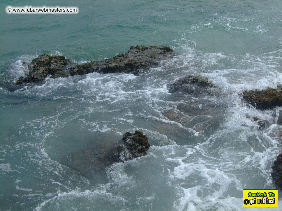 GoodGirl & Baddog's Hawaii Photos