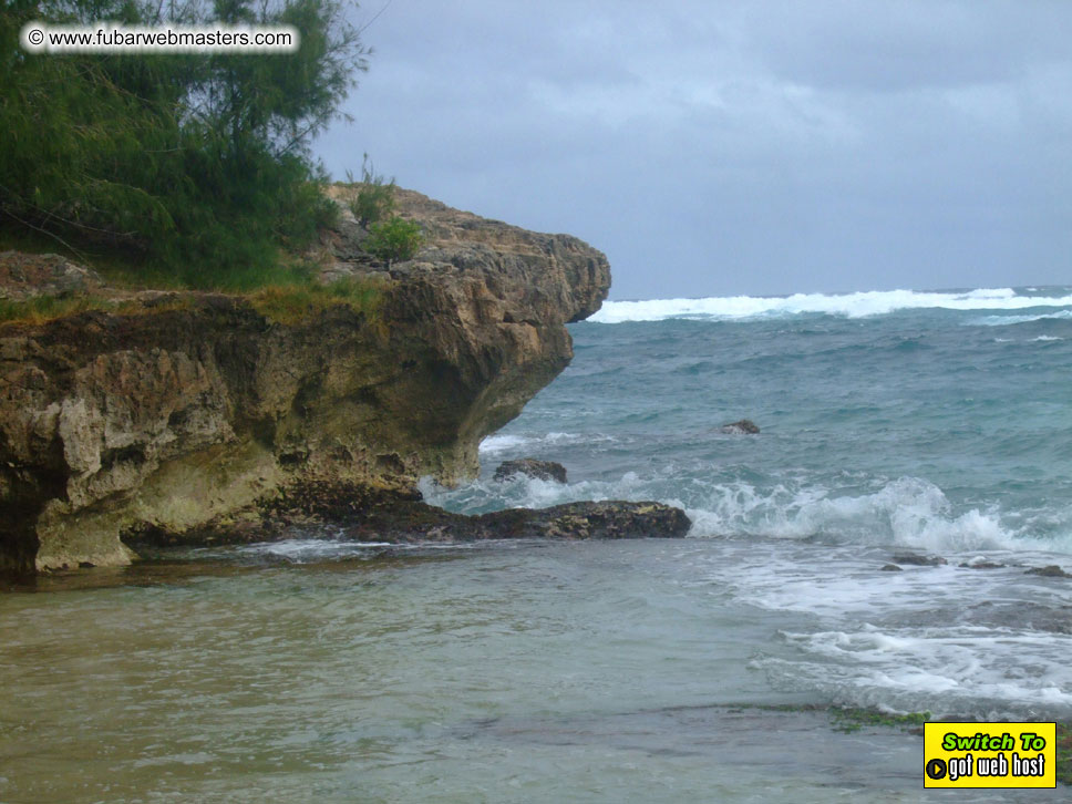 GoodGirl & Baddog's Hawaii Photos