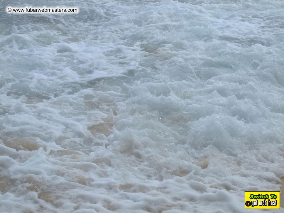 GoodGirl & Baddog's Hawaii Photos