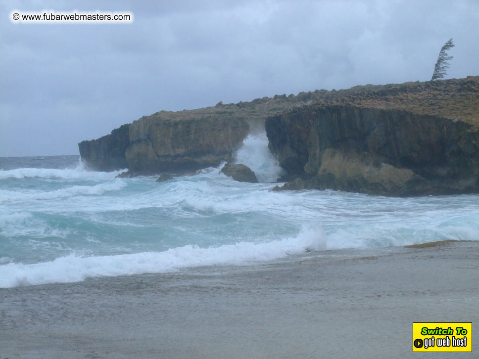 GoodGirl & Baddog's Hawaii Photos