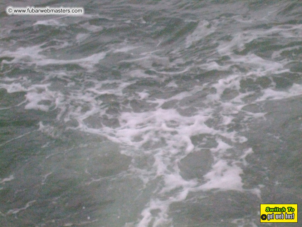 GoodGirl & Baddog's Hawaii Photos