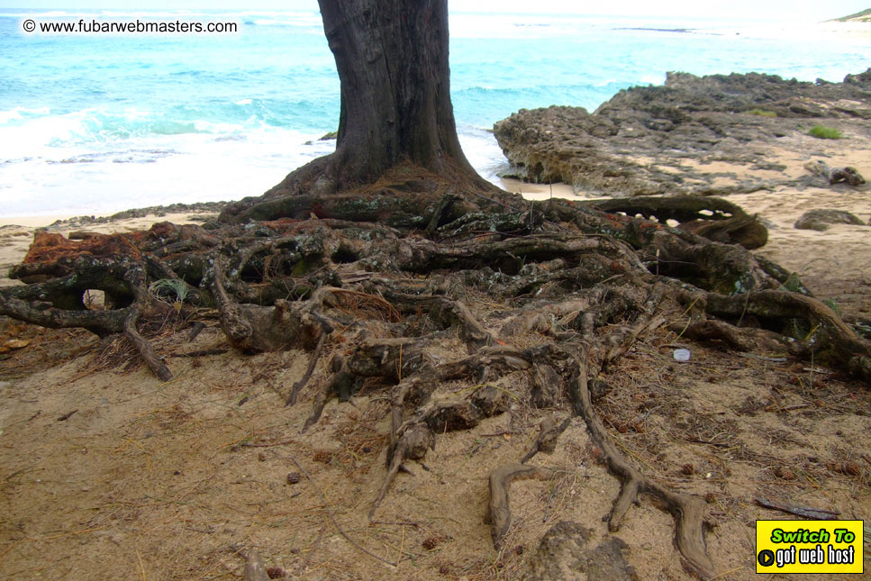 GoodGirl & Baddog's Hawaii Photos