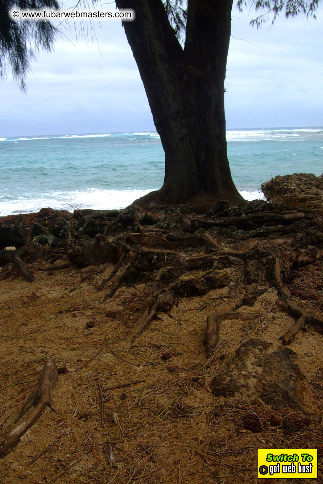 GoodGirl & Baddog's Hawaii Photos