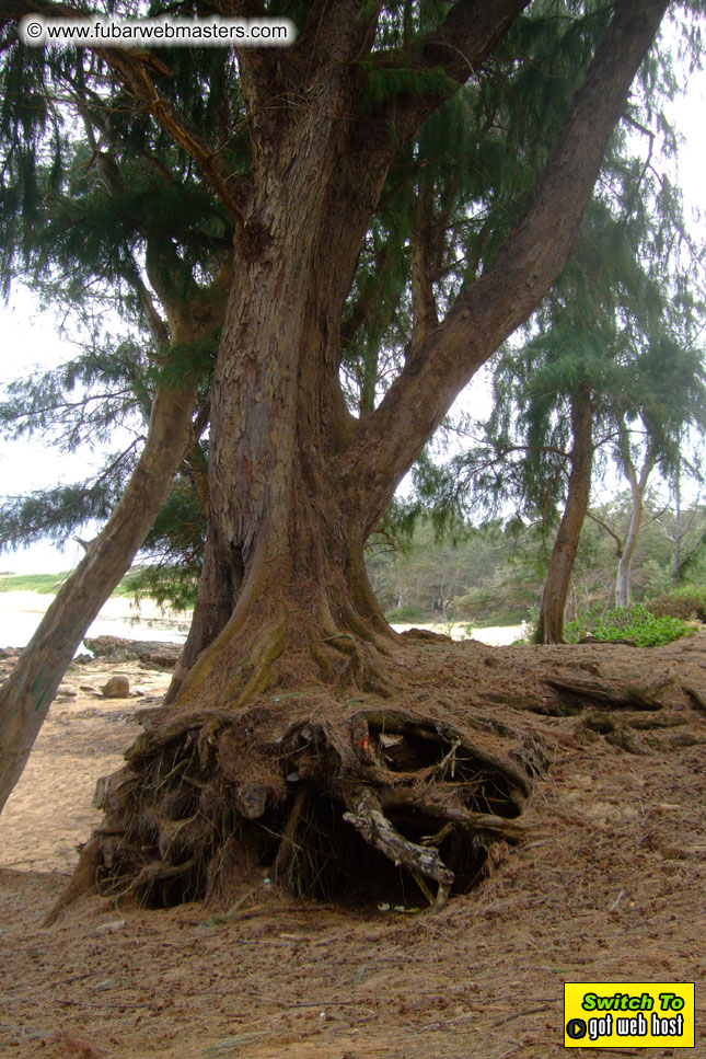 GoodGirl & Baddog's Hawaii Photos