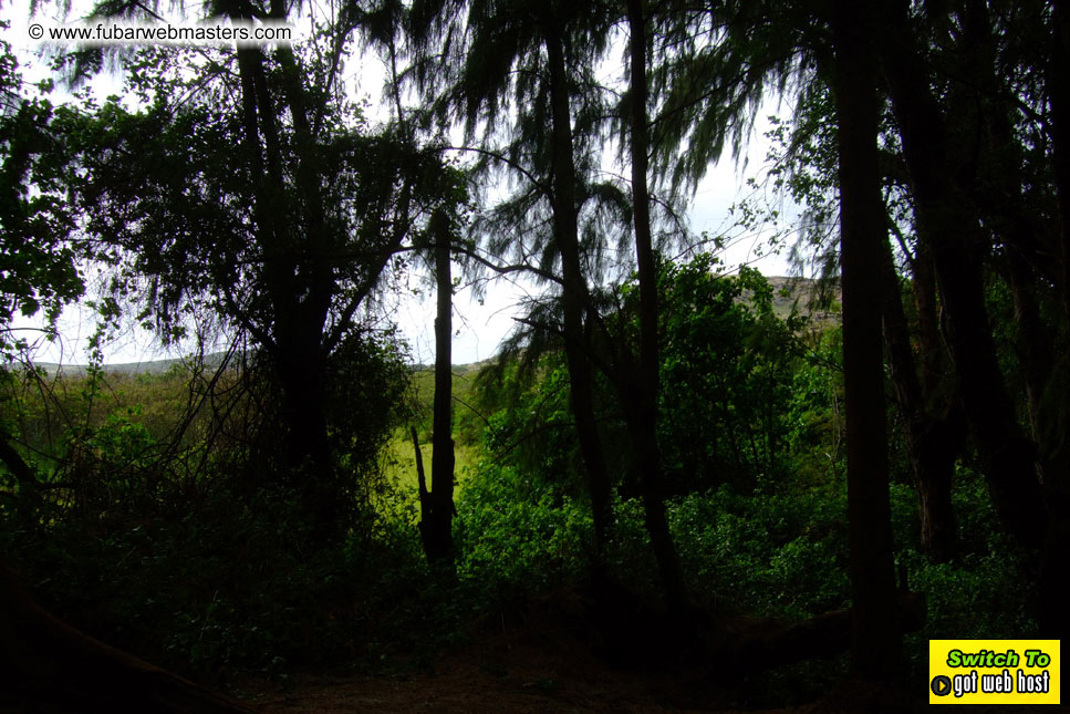 GoodGirl & Baddog's Hawaii Photos