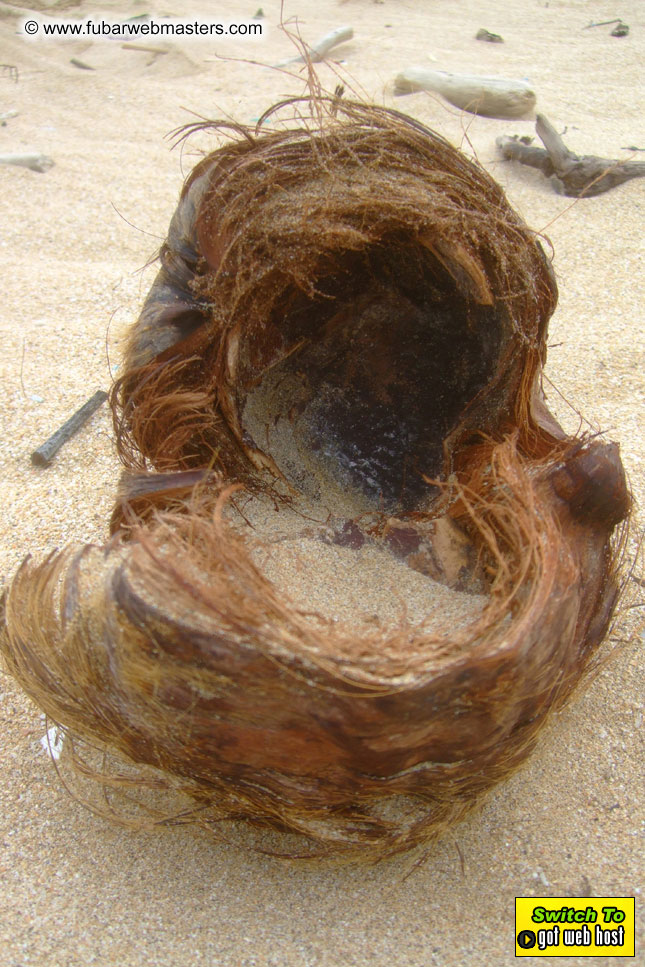 GoodGirl & Baddog's Hawaii Photos