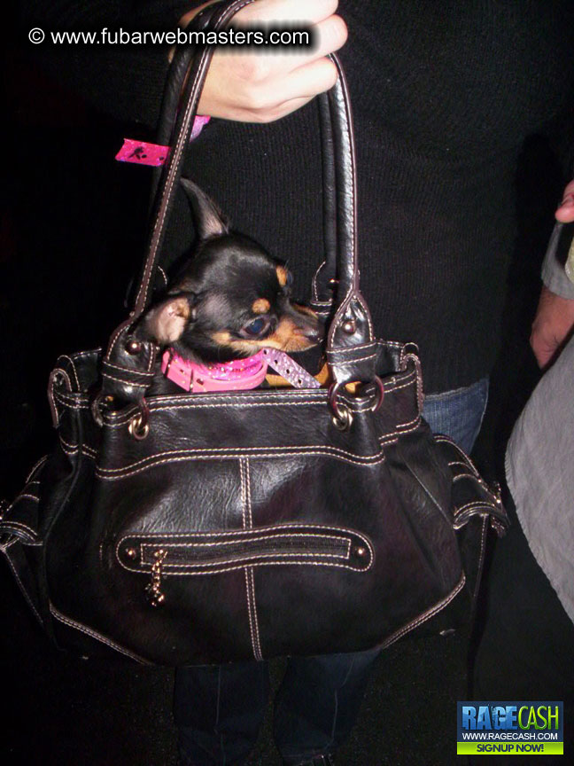 2nd Annual Playboy Mansion PJ and Lingerie Party