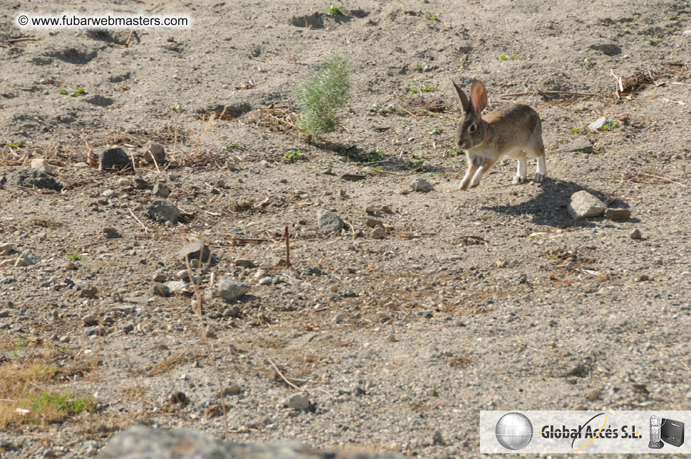 Webmaster Access Golf Tournament