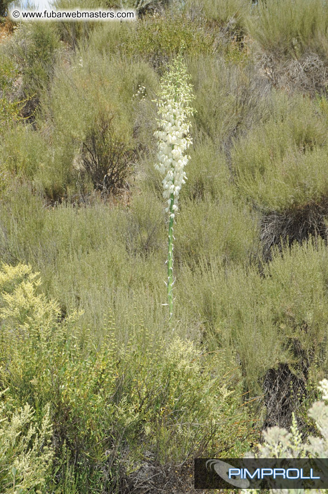 Webmaster Access West Golf Tournament