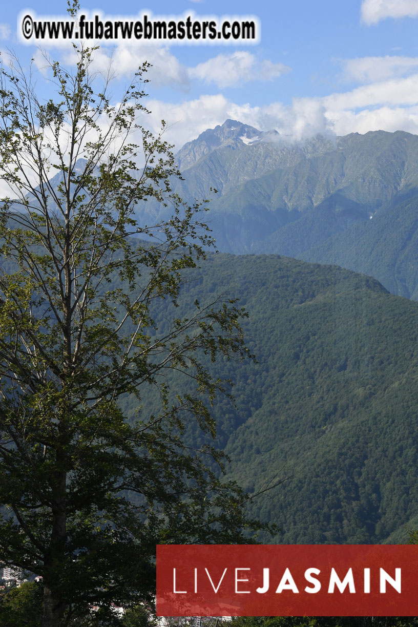 The Hotel and surrounding area