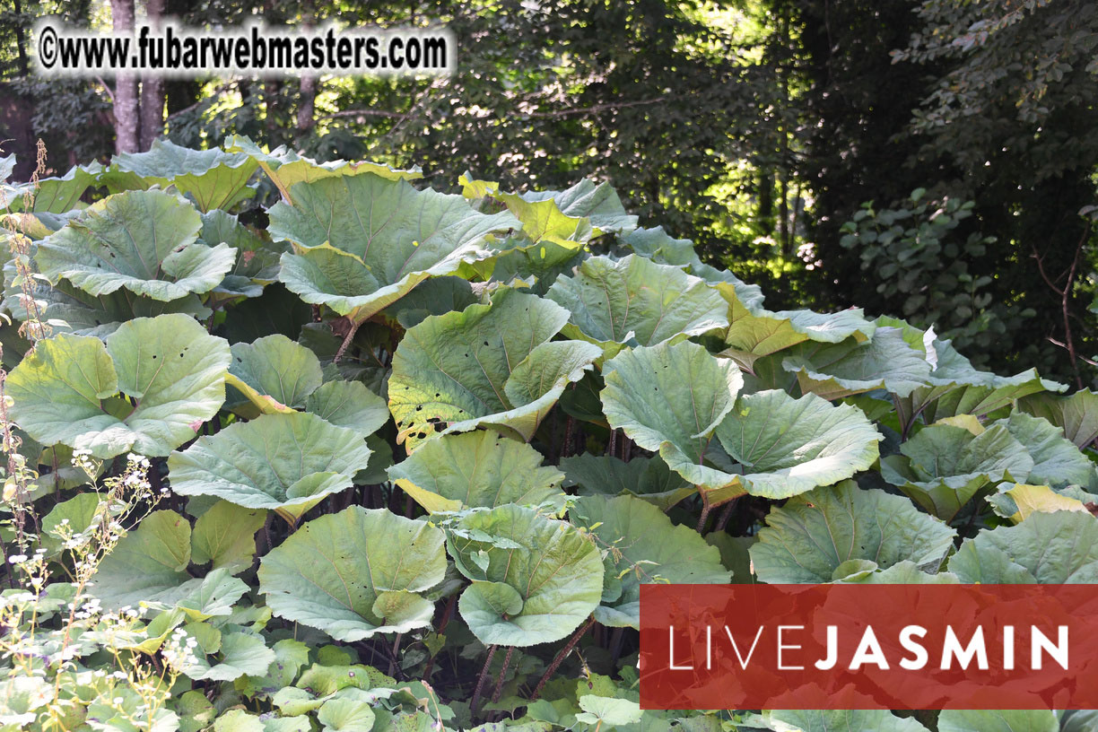 The Hotel and surrounding area