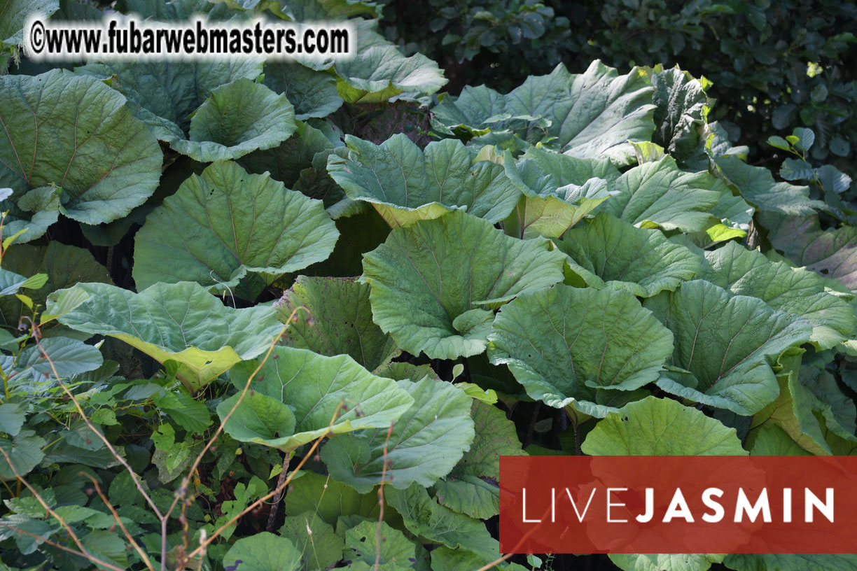 The Hotel and surrounding area