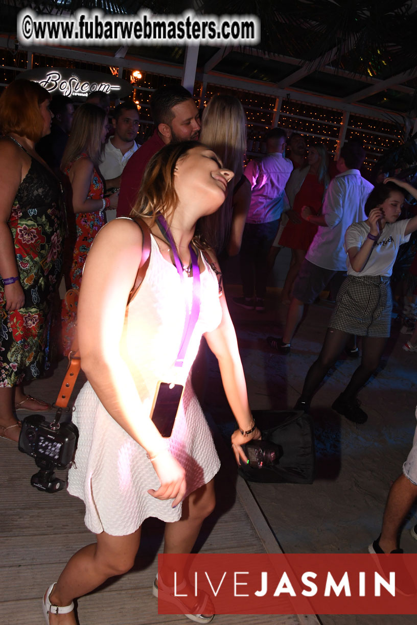 Tropical Paradise Party 