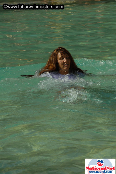 The Hard Rock Pool and Cabanas