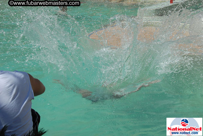 The Hard Rock Pool and Cabanas