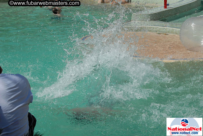 The Hard Rock Pool and Cabanas