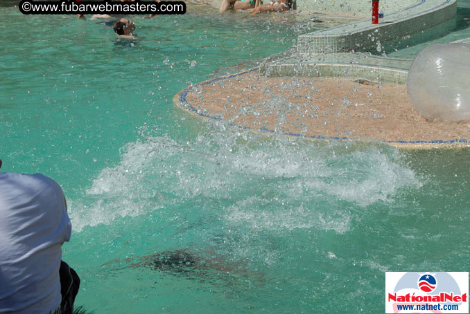 The Hard Rock Pool and Cabanas